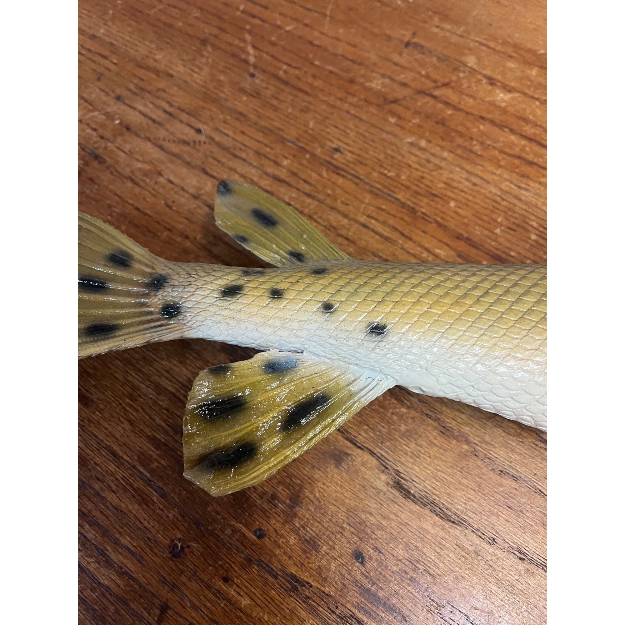 RARE Vintage 1950s Long-Nose Gar Full-Body Fish Wall Mount Taxidermy Genuine
