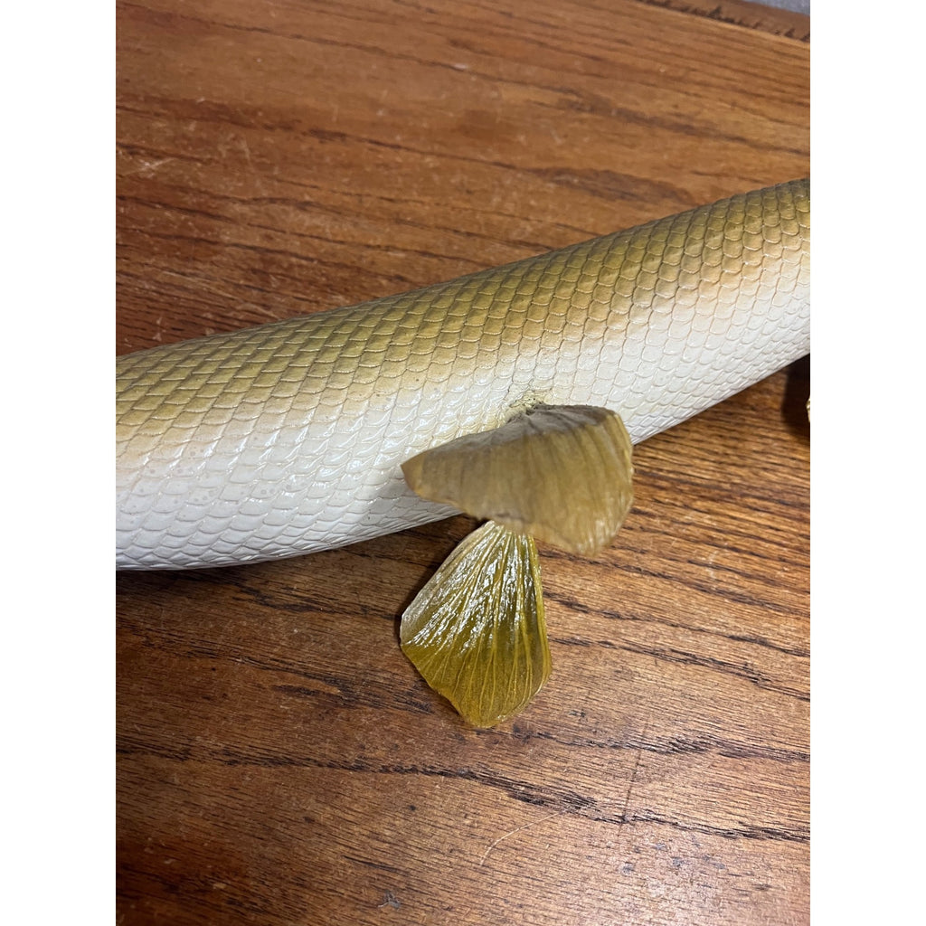 RARE Vintage 1950s Long-Nose Gar Full-Body Fish Wall Mount Taxidermy Genuine