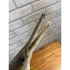 RARE Vintage 1950s Long-Nose Gar Full-Body Fish Wall Mount Taxidermy Genuine