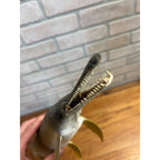 RARE Vintage 1950s Long-Nose Gar Full-Body Fish Wall Mount Taxidermy Genuine