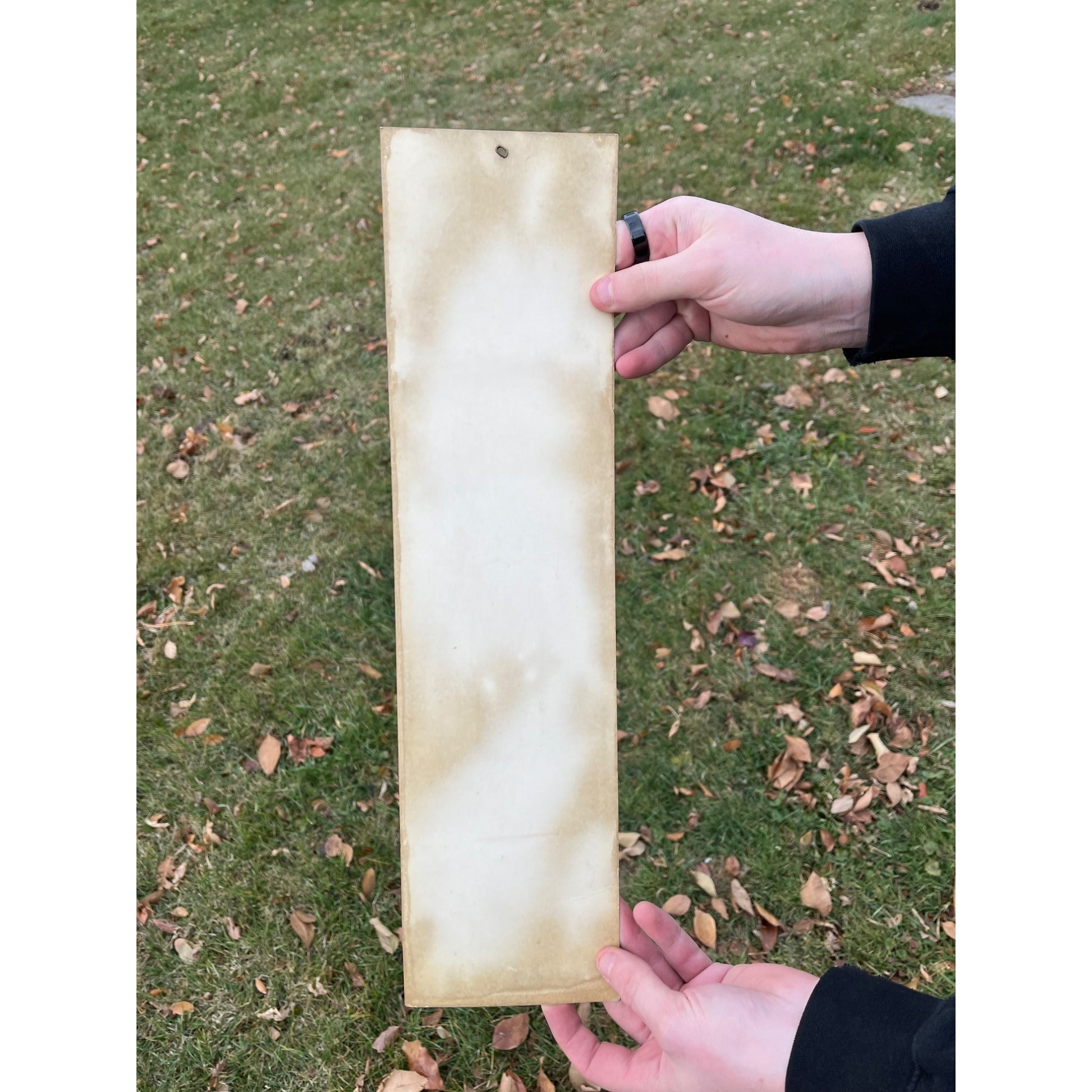 Vintage Rayette GDT Dandruff Lotion Advertising Barber Shop Cardstock