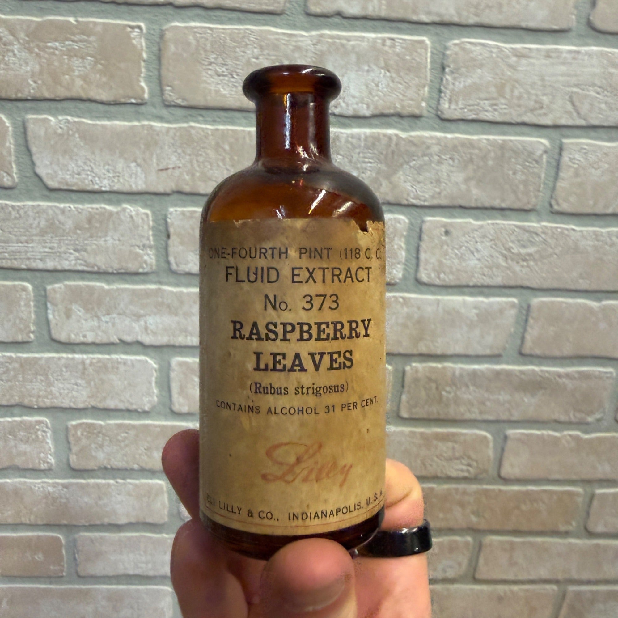 Vintage Lilly Drug Raspberry Leaves Fluid Extract Bottle Empty