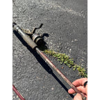 Estate Liquidation Special  - Lot of Fishing Poles