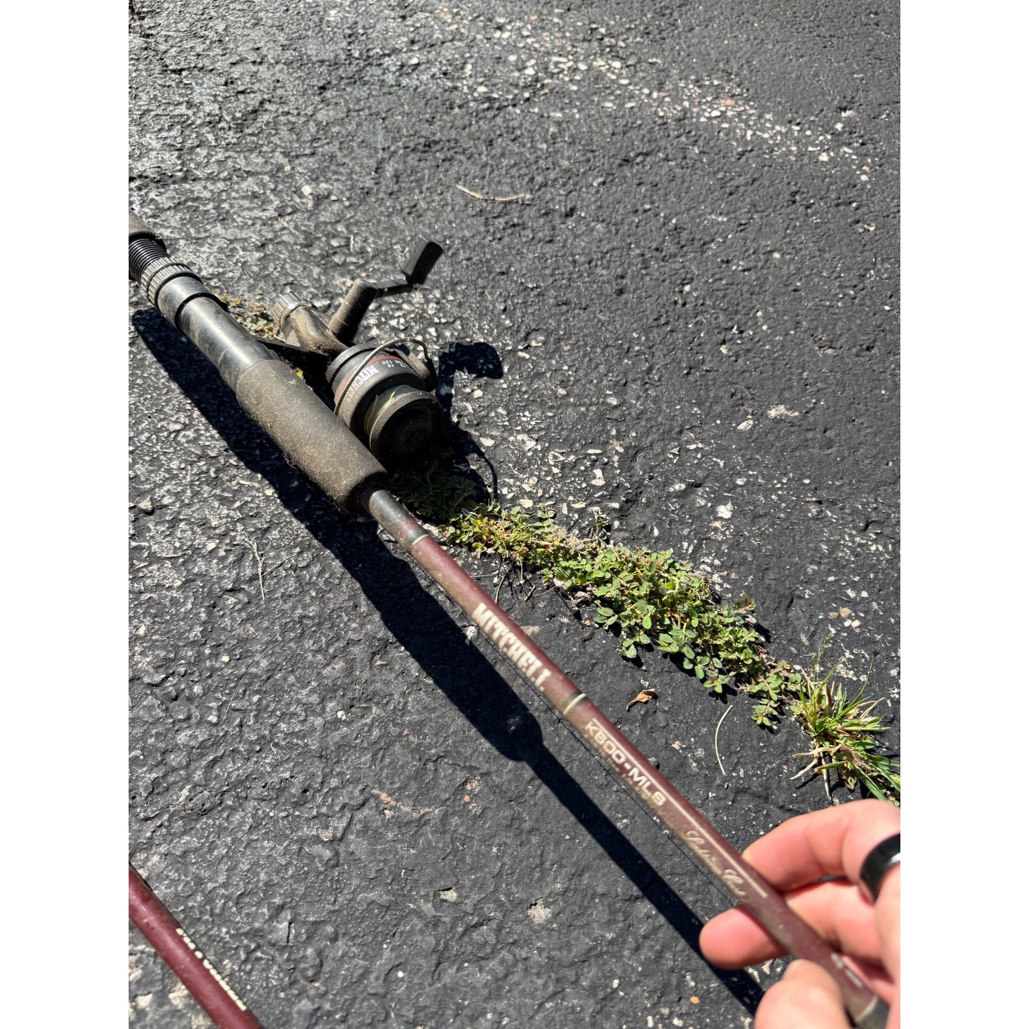 Estate Liquidation Special  - Lot of Fishing Poles
