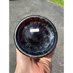 Pre-Prohibition Bosch Brewing Co. Amber Lake Linden Michigan Beer Bottle Blob