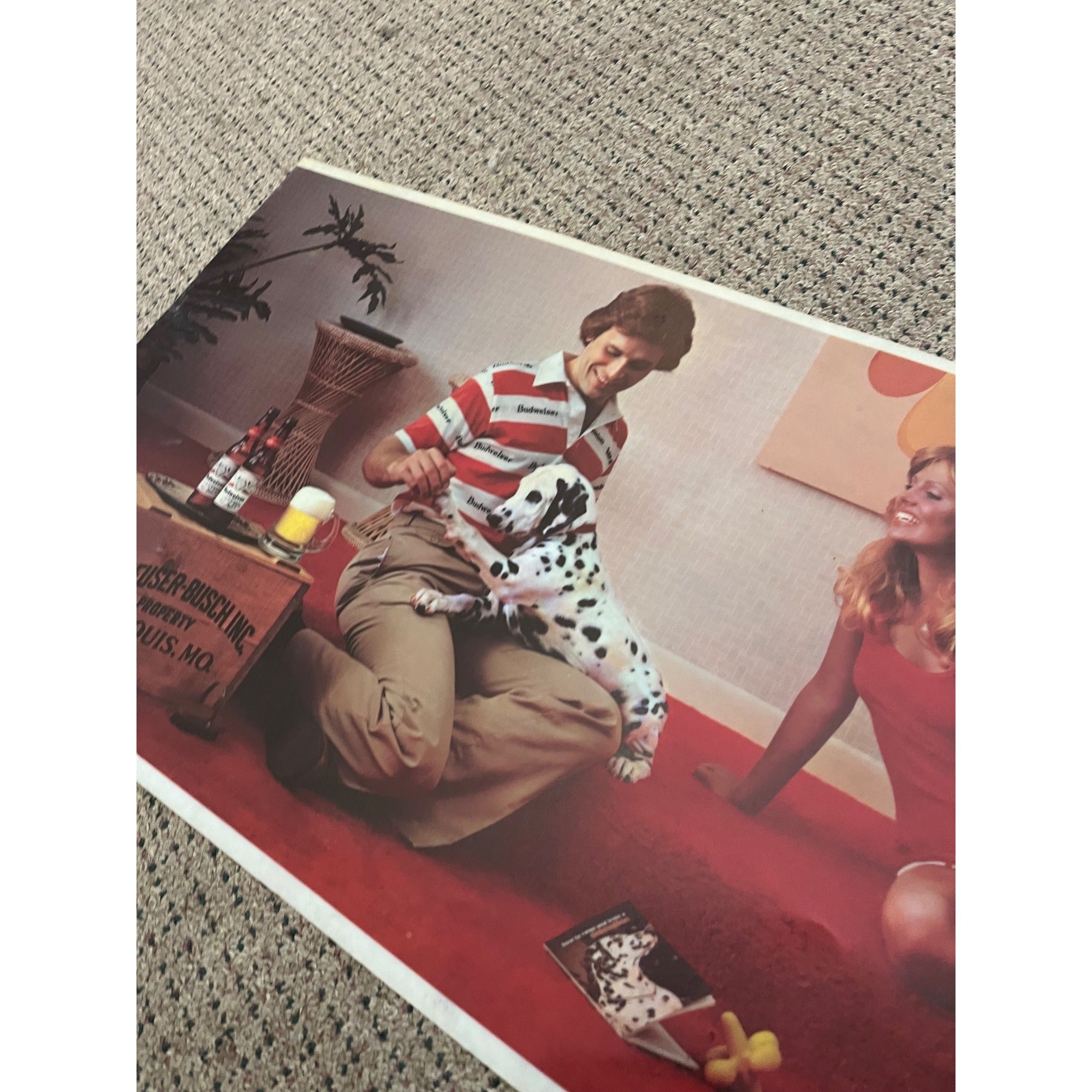 RARE Vintage Budweiser Beer Lighted Bar Sign Plastic Insert Face Sheet 24"