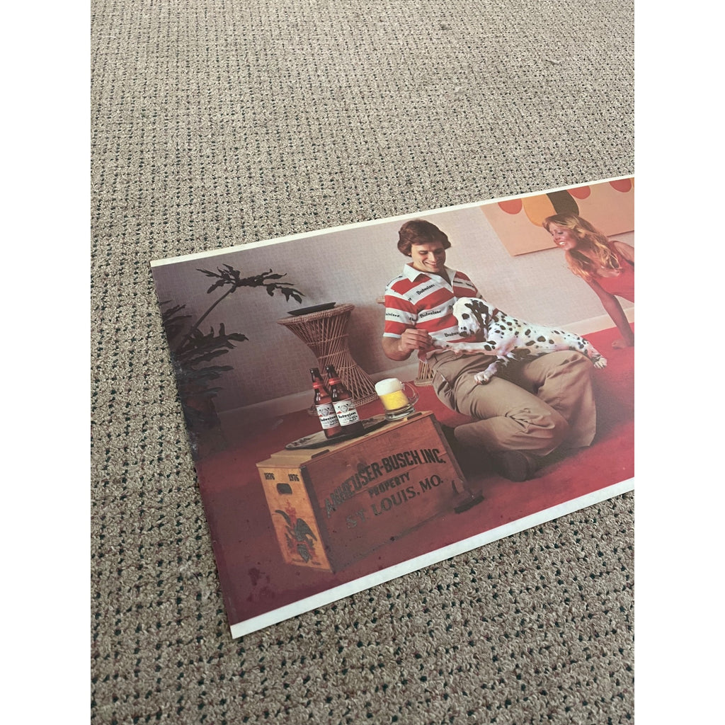 RARE Vintage Budweiser Beer Lighted Bar Sign Plastic Insert Face Sheet 24"