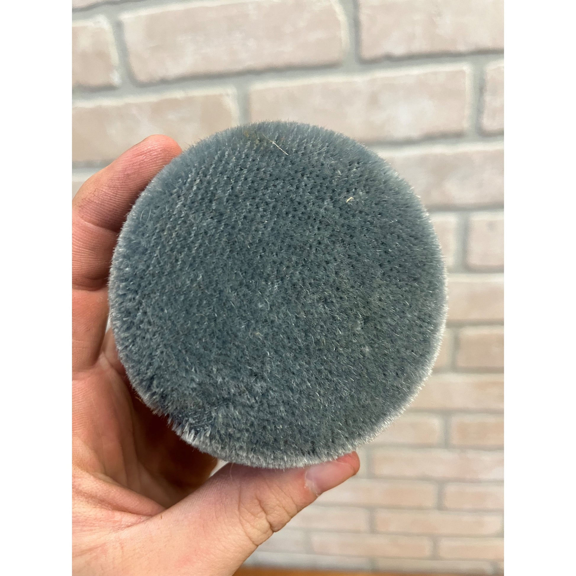 Vintage RCA Victor Celluloid Advertising Record Cleaner Nipper Cedarburg WI