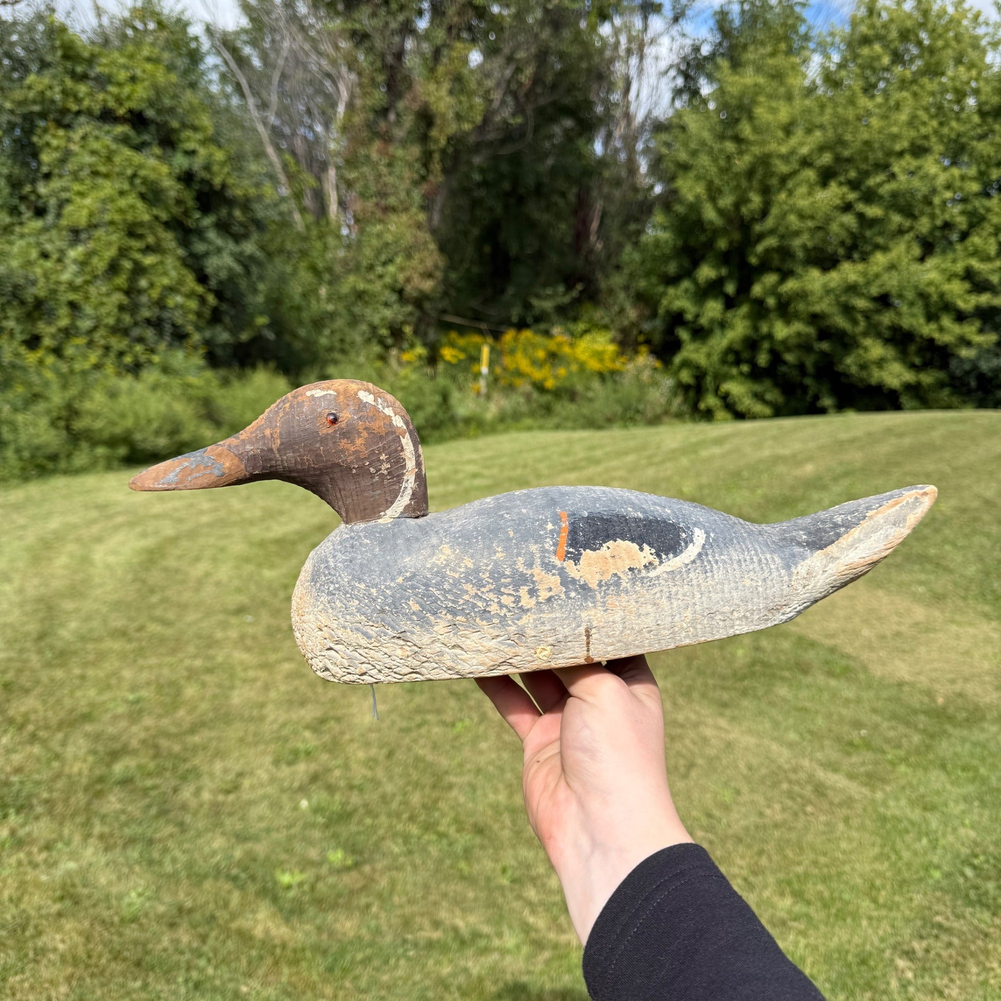 Vintage Wooden Duck Decoy Rough Animal Trap Co? Pintail