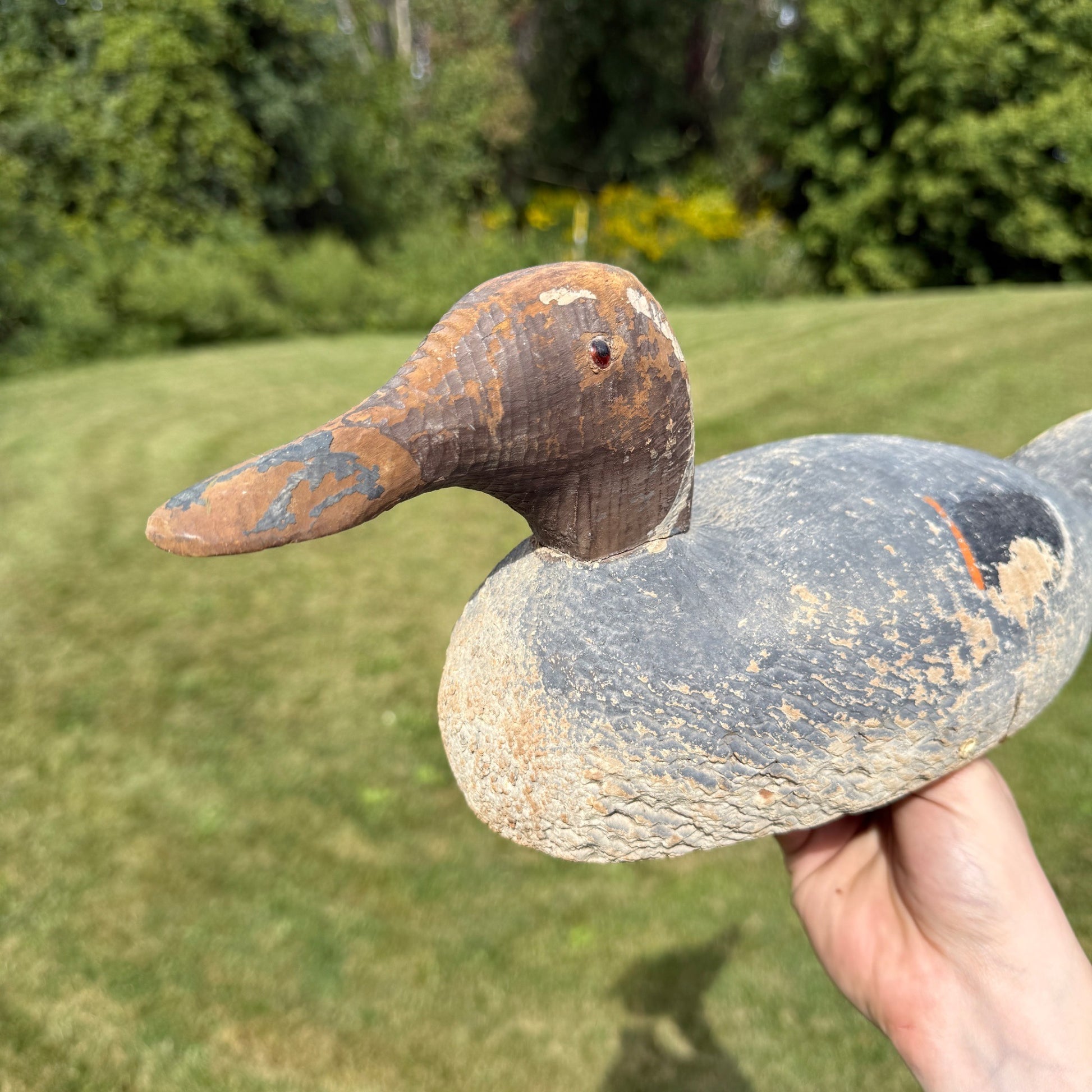 Vintage Wooden Duck Decoy Rough Animal Trap Co? Pintail