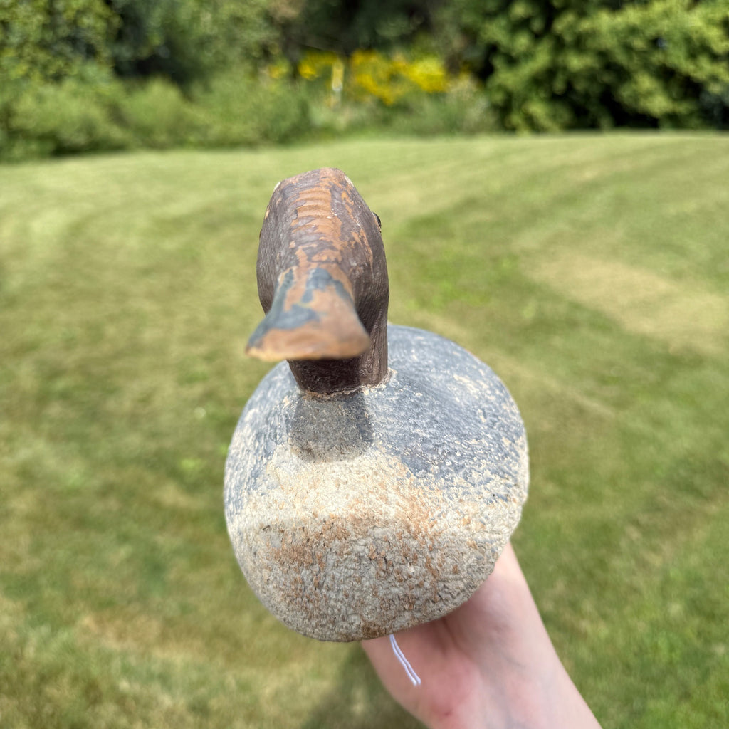 Vintage Wooden Duck Decoy Rough Animal Trap Co? Pintail