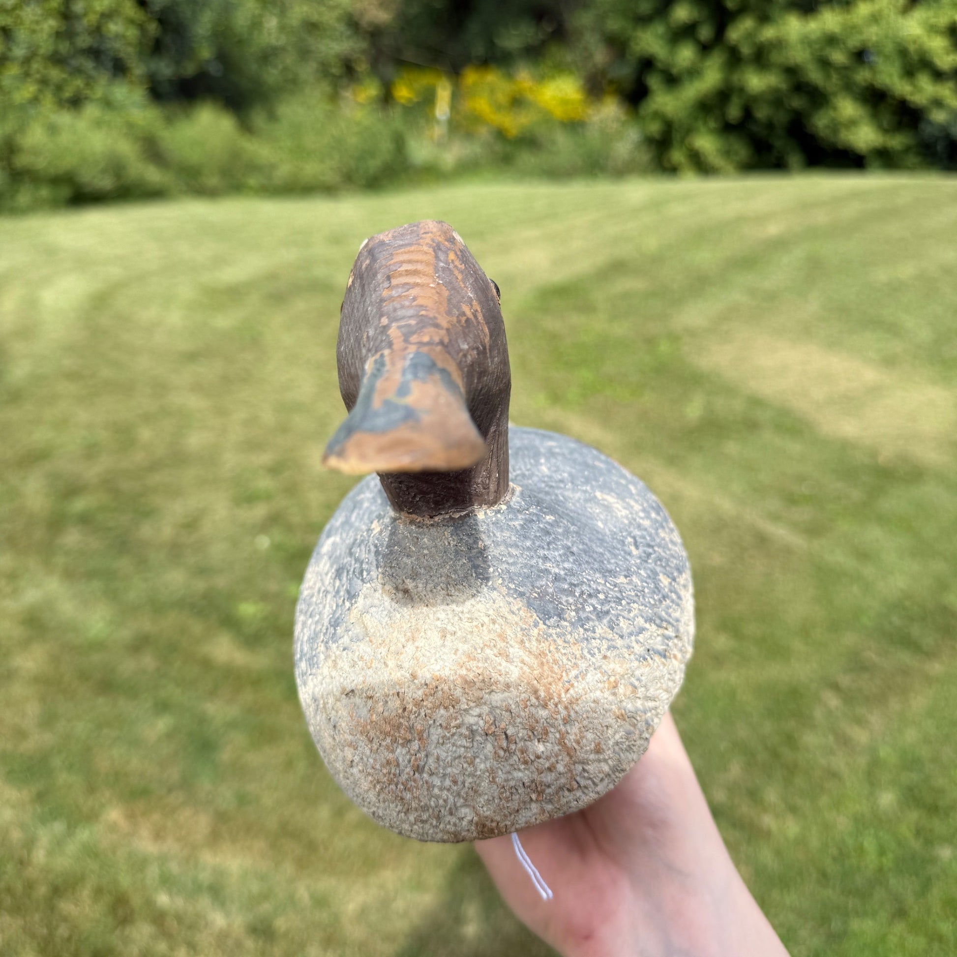 Vintage Wooden Duck Decoy Rough Animal Trap Co? Pintail