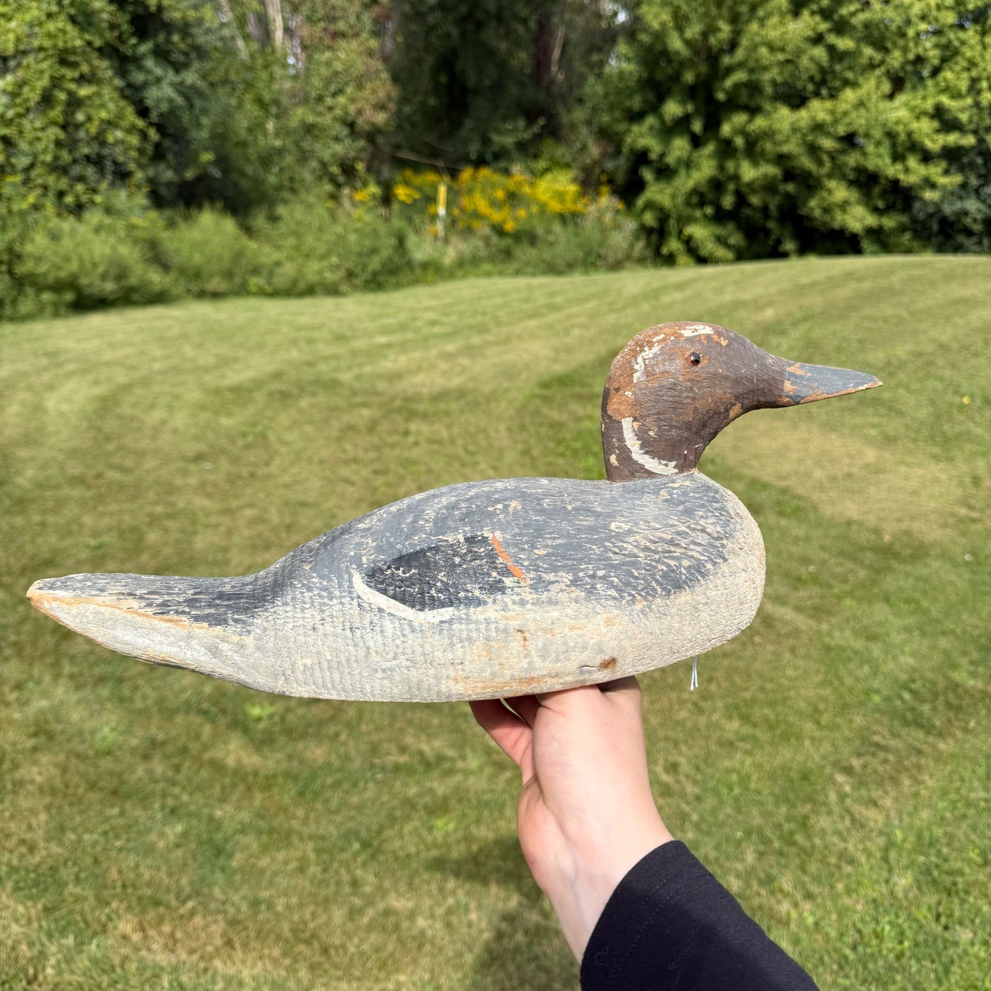 Vintage Wooden Duck Decoy Rough Animal Trap Co? Pintail