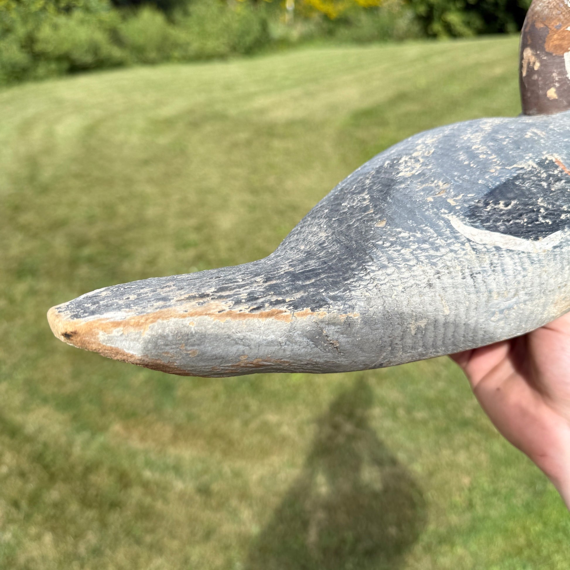 Vintage Wooden Duck Decoy Rough Animal Trap Co? Pintail