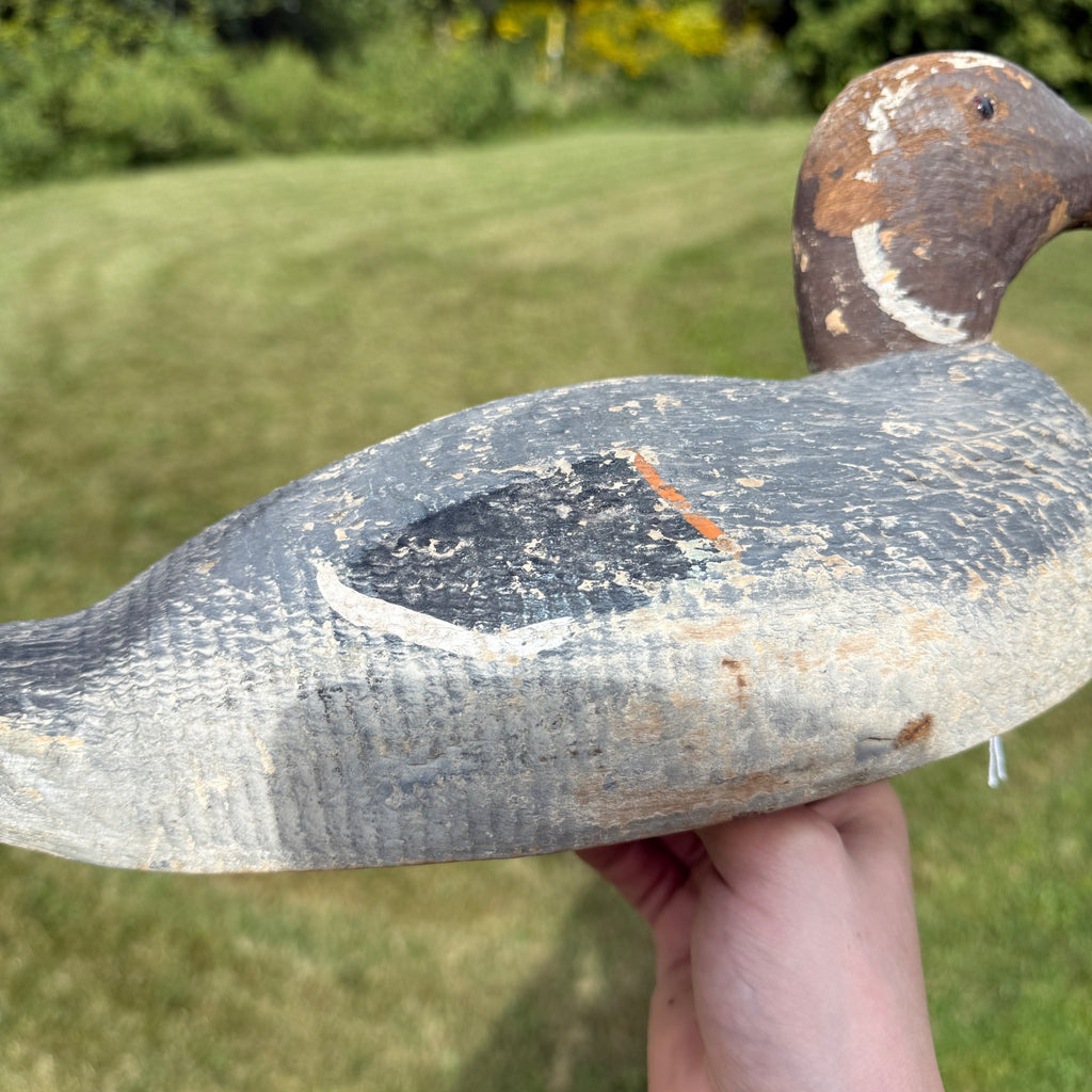 Vintage Wooden Duck Decoy Rough Animal Trap Co? Pintail