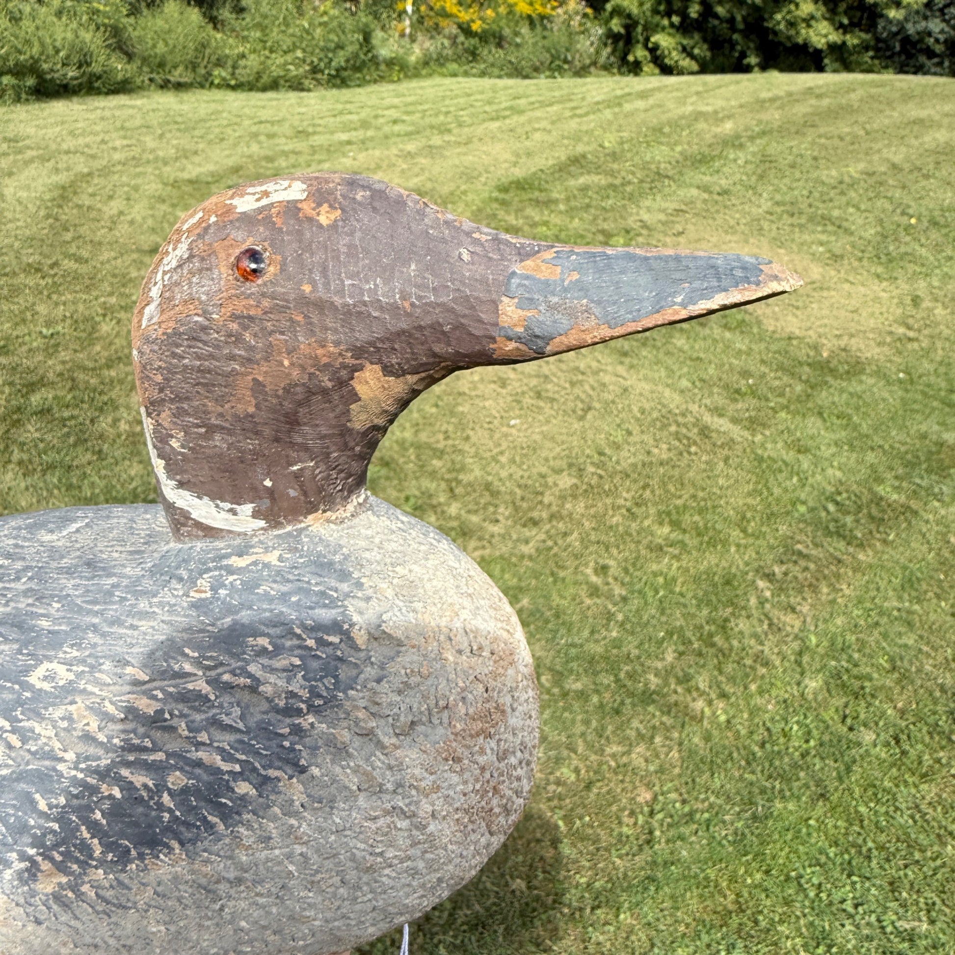 Vintage Wooden Duck Decoy Rough Animal Trap Co? Pintail