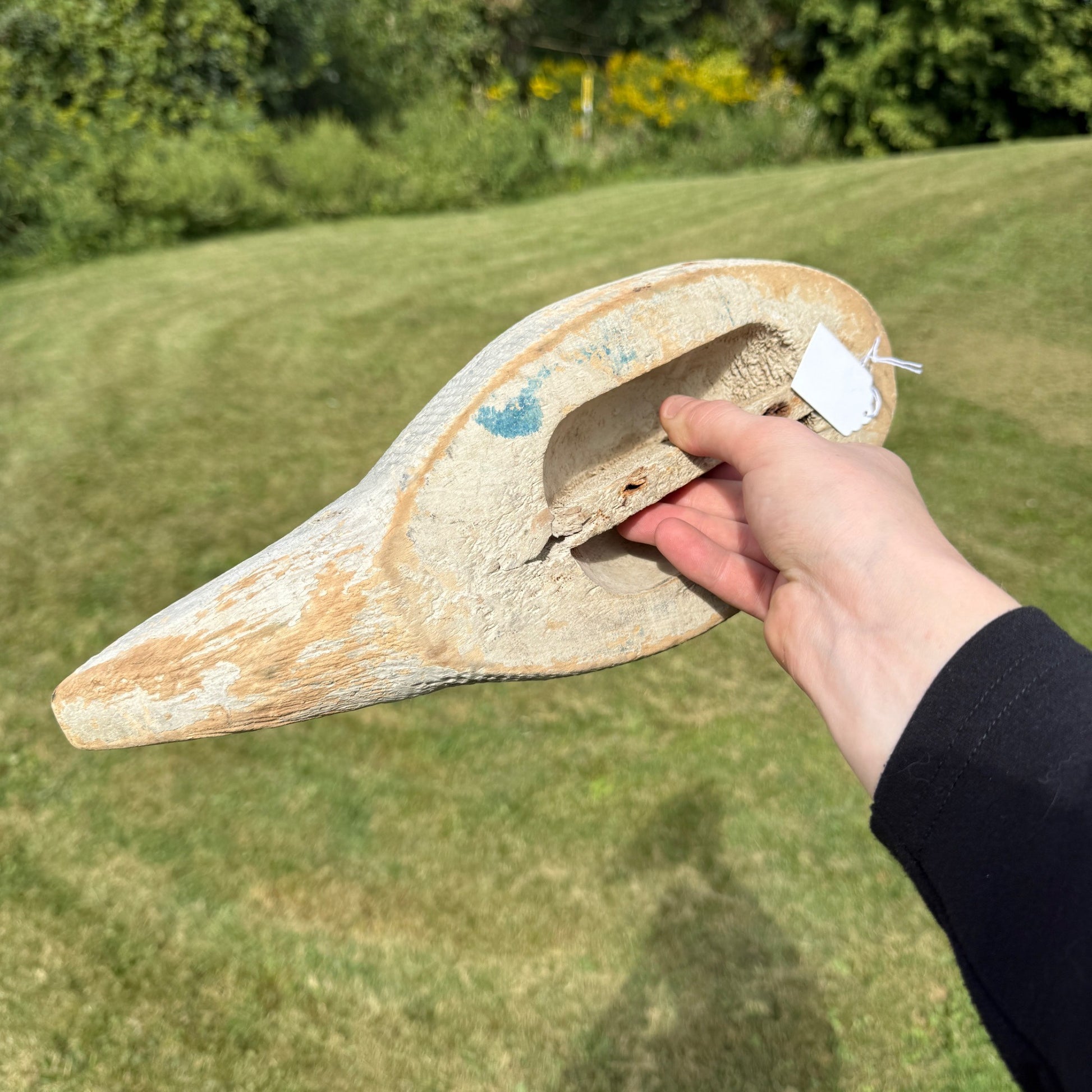 Vintage Wooden Duck Decoy Rough Animal Trap Co? Pintail