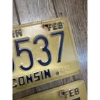 Vintage 1994  Wisconsin Embossed License Plate Blue Gold Farm Pair