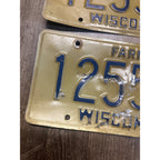 Vintage 1994  Wisconsin Embossed License Plate Blue Gold Farm Pair