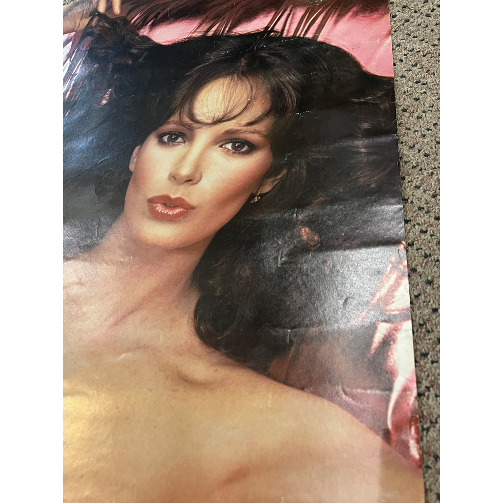 Vintage Jaclyn Smith “Pink” Poster 20X28 Pro Arts #692 Charlies Angels 1979