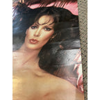 Vintage Jaclyn Smith “Pink” Poster 20X28 Pro Arts #692 Charlies Angels 1979