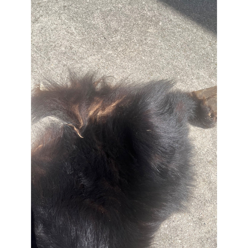 Black Bear Partial Tanned Hide Fur Back Rear Paws -- 46" x 17"