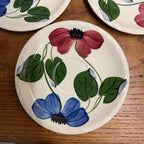 Vintage Blue Ridge Set of (5) Southern Blue & Red Flowers Tea Plate BRP167
