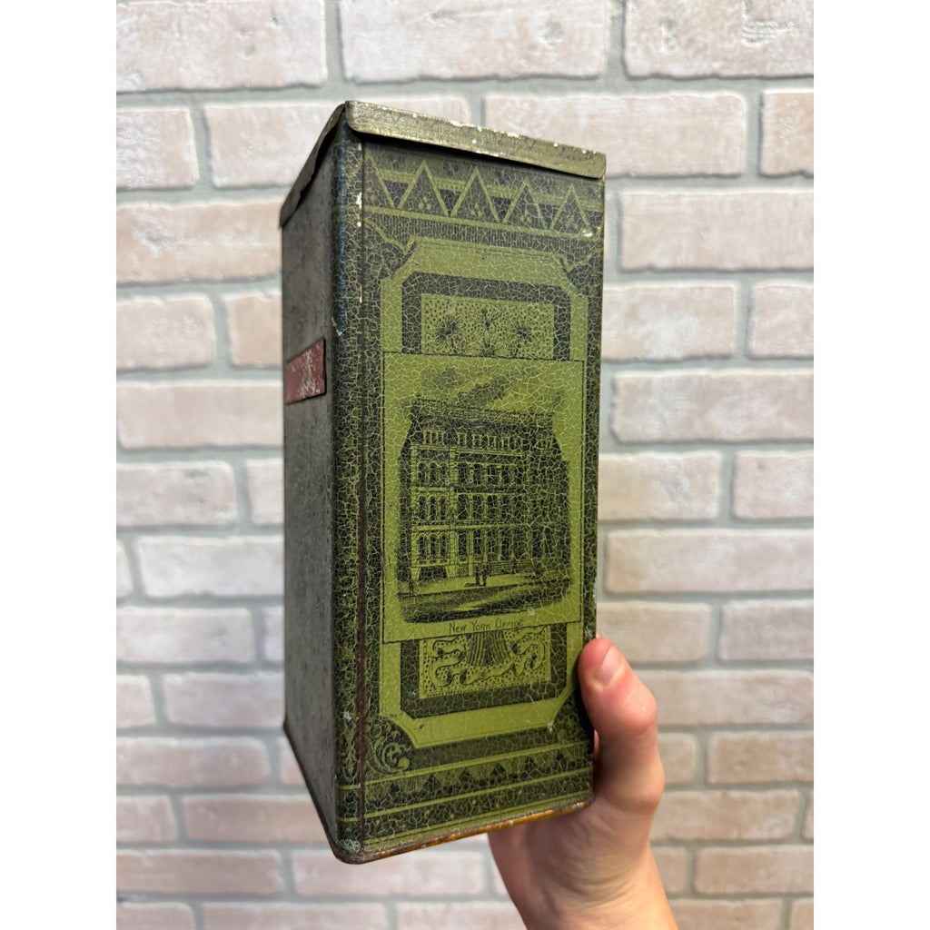 Vintage Large Green Lithographed Pressed Herbs/Botanicals Druggist Box Parke Davis & Co. Manufacturing Chemists Detroit, Michigan