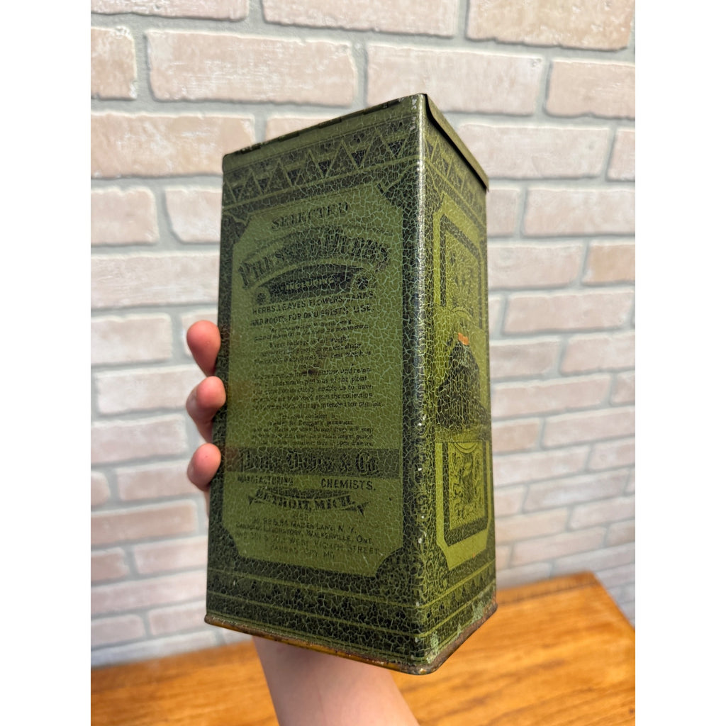 Vintage Large Green Lithographed Pressed Herbs/Botanicals Druggist Box Parke Davis & Co. Manufacturing Chemists Detroit, Michigan