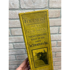 Vintage 1920s Men's Hosiery Stockings Empty Box Foremost Bull JC Penney Co.