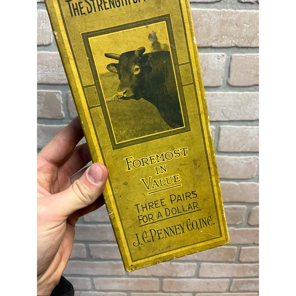 Vintage 1920s Men's Hosiery Stockings Empty Box Foremost Bull JC Penney Co.