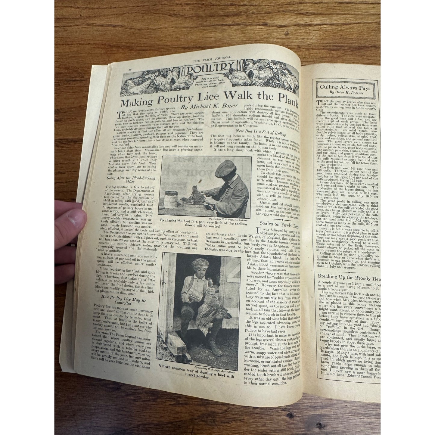 Vintage The Farm Journal Magazine Newspaper Issue July 1924 Winning Vote - Ads