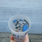 Vintage Hazel Atlas Wisconsin Frosted State Souvenir Glass 5" Tumbler MCM
