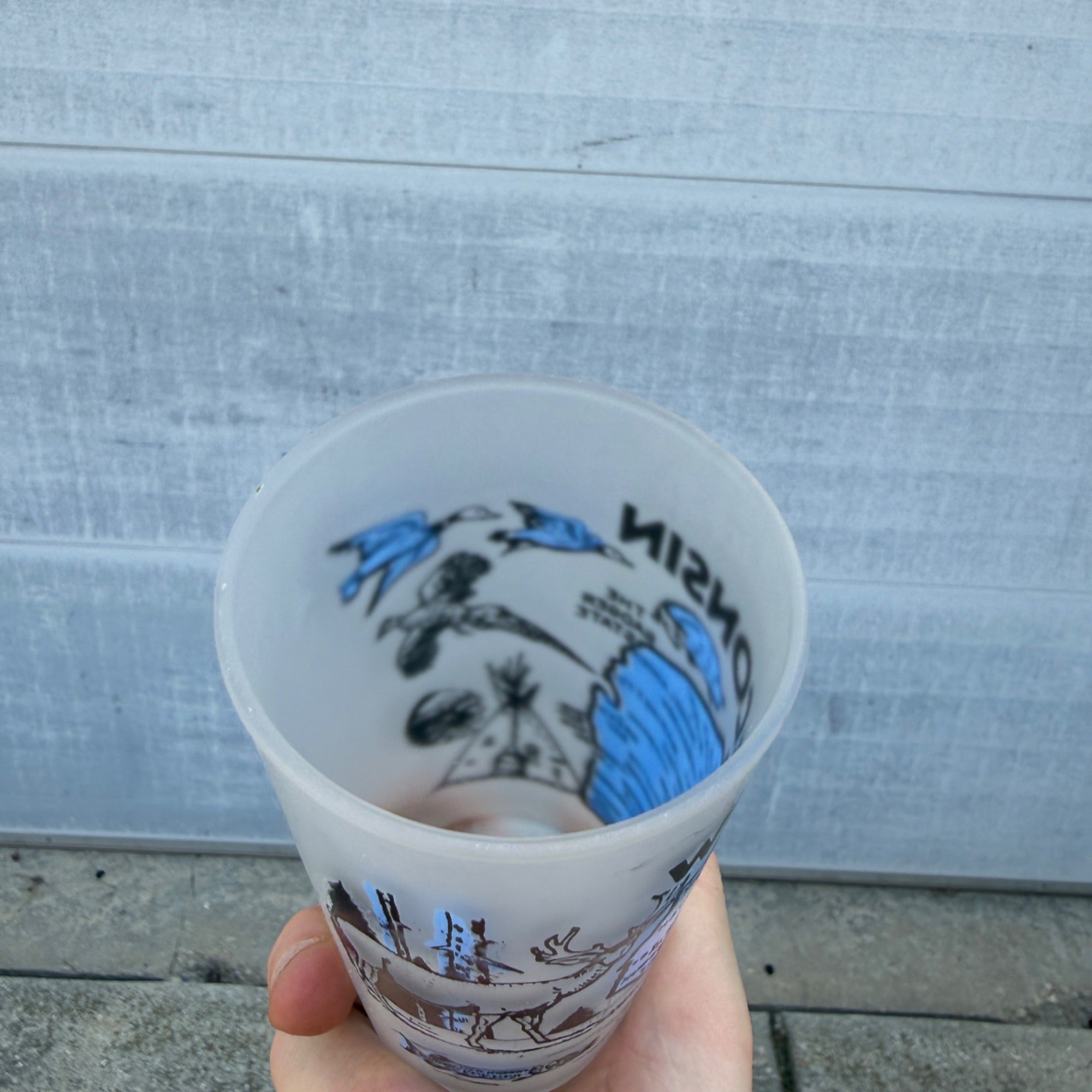 Vintage Hazel Atlas Wisconsin Frosted State Souvenir Glass 5" Tumbler MCM