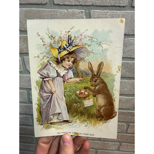 Antique Victorian Trade Card 1890s Easter Bunny & Child Woolson Spice Co.