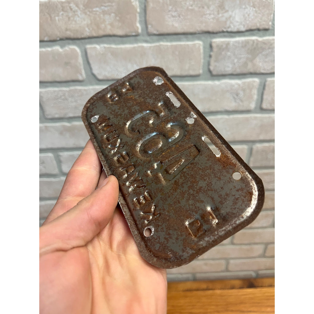 Vintage Wisconsin Bicycle Bike License Plate Embossed  Kewaskum 1984