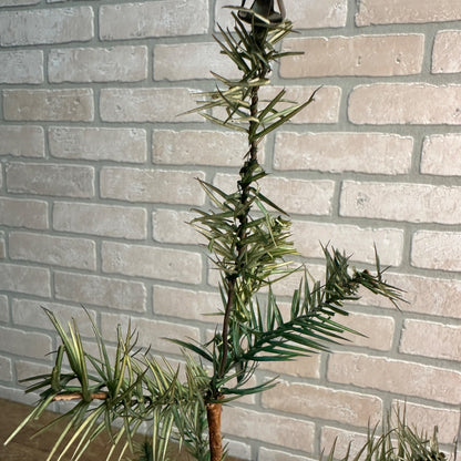 Antique Green Feather Tree Original 23" Christmas Tree 2ft