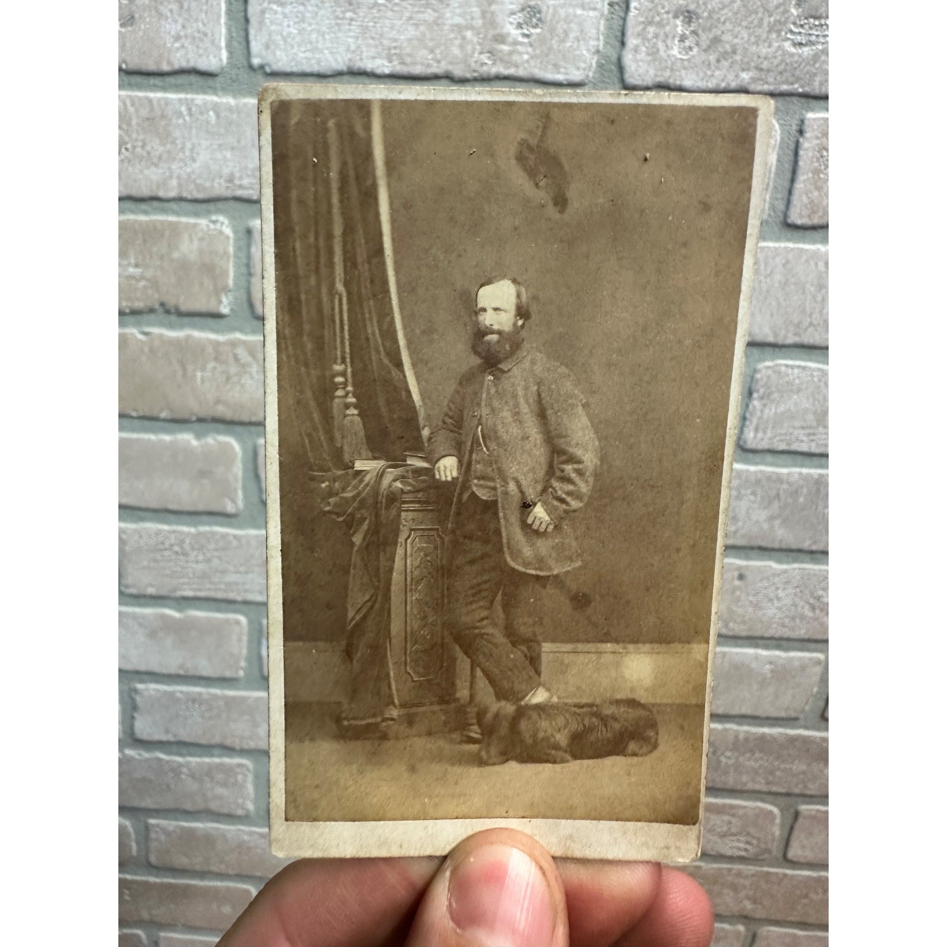 Original Carte de Visite CDV Man & Dog Lying on Floor Spaniel? - Menzies