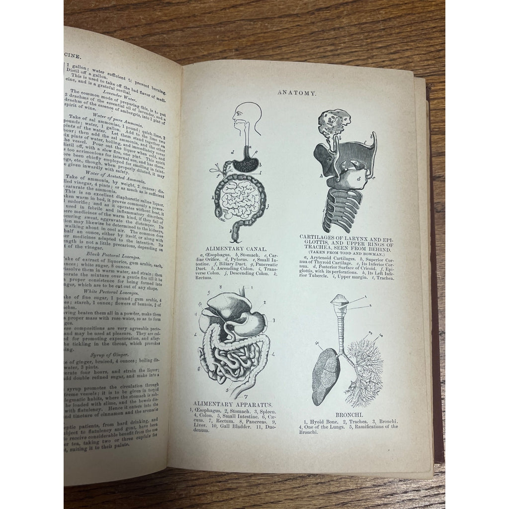 Antique The Household Cyclopedia USeful Knowledge Book 1880s Victorian Animals