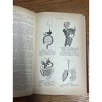 Antique The Household Cyclopedia USeful Knowledge Book 1880s Victorian Animals