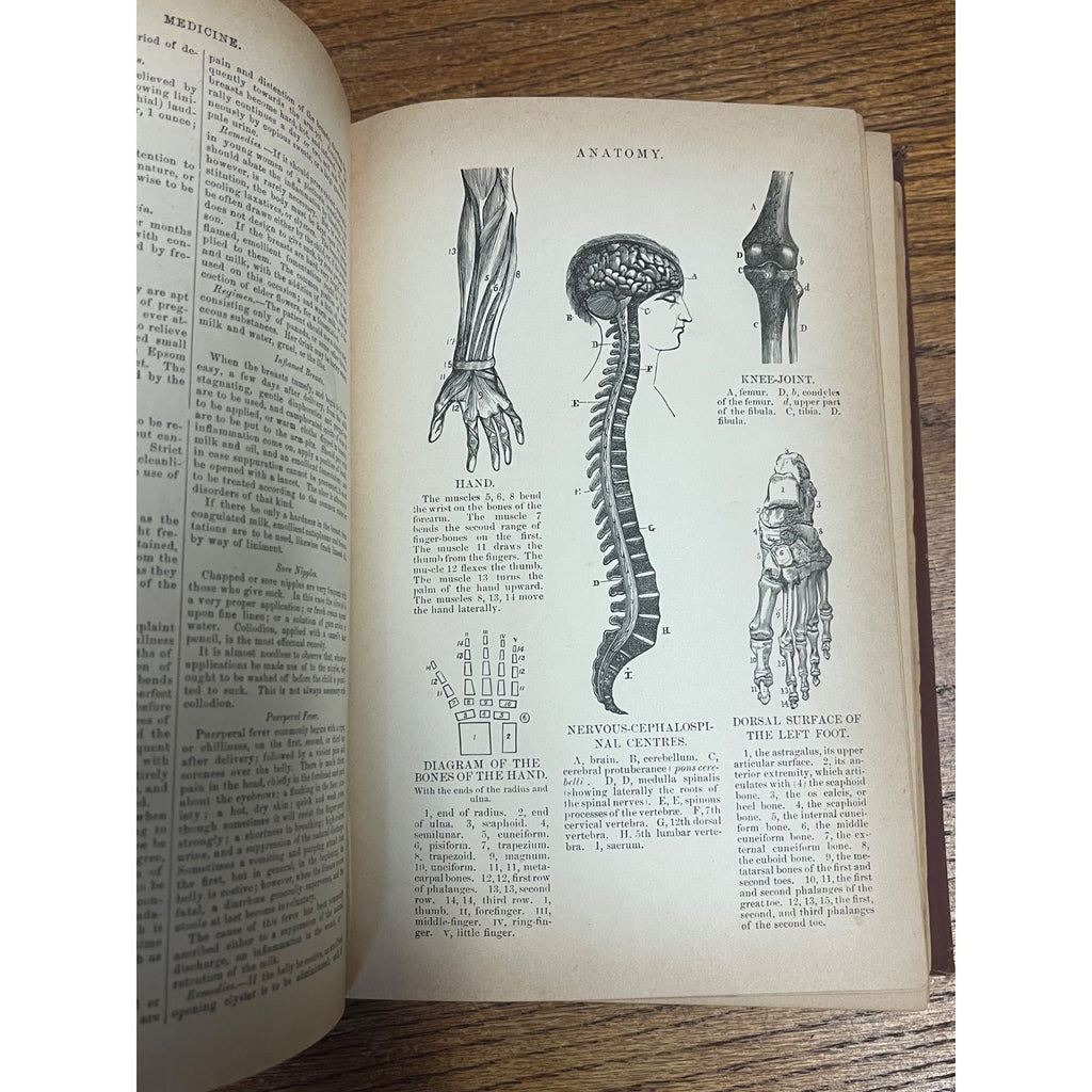 Antique The Household Cyclopedia USeful Knowledge Book 1880s Victorian Animals