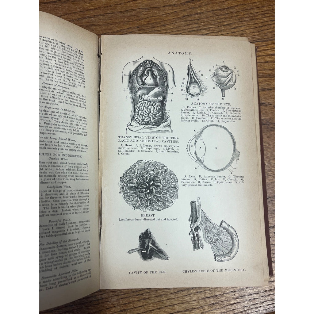Antique The Household Cyclopedia USeful Knowledge Book 1880s Victorian Animals