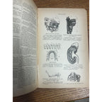 Antique The Household Cyclopedia USeful Knowledge Book 1880s Victorian Animals