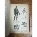 Antique The Household Cyclopedia USeful Knowledge Book 1880s Victorian Animals