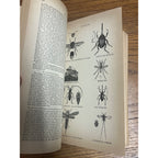 Antique The Household Cyclopedia USeful Knowledge Book 1880s Victorian Animals