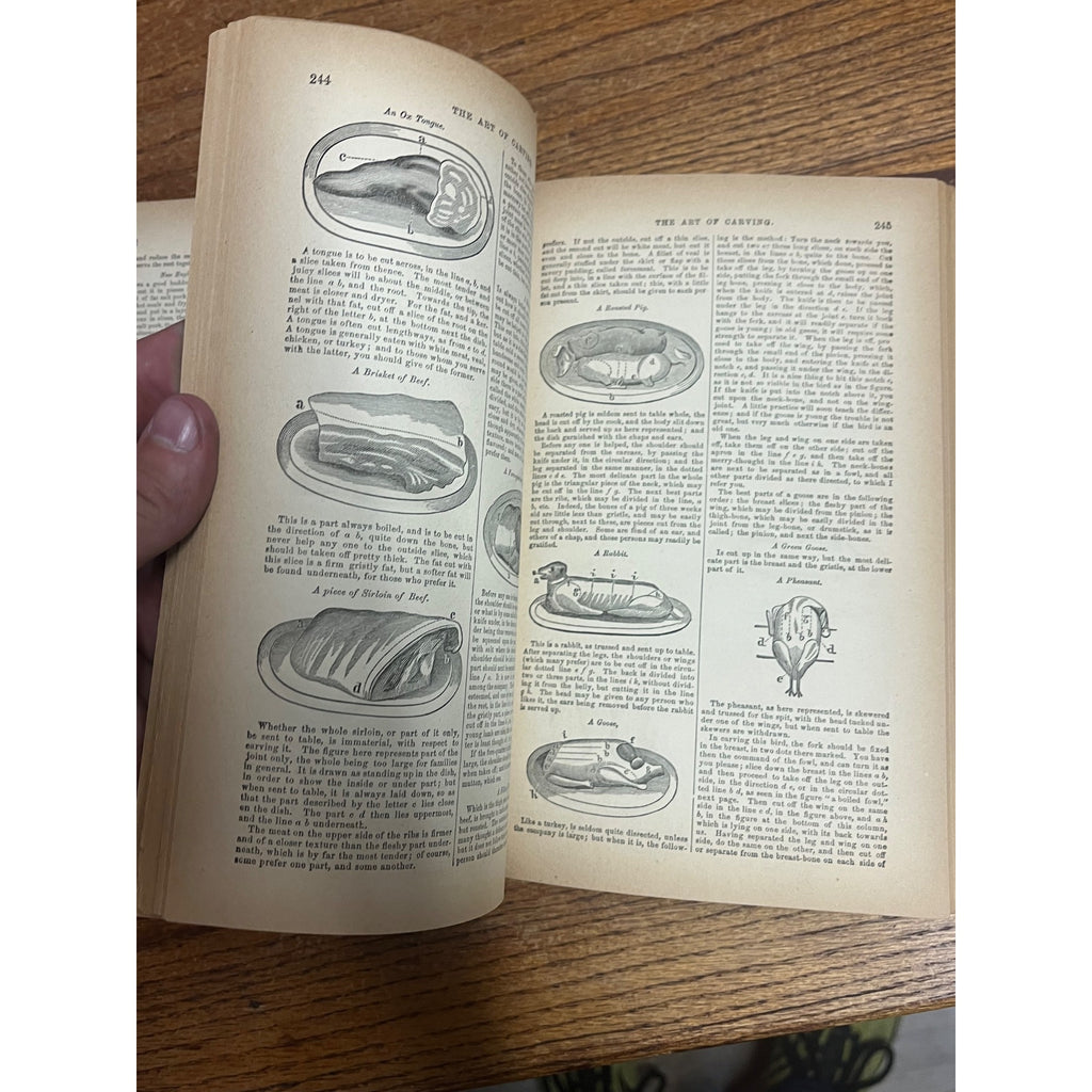 Antique The Household Cyclopedia USeful Knowledge Book 1880s Victorian Animals