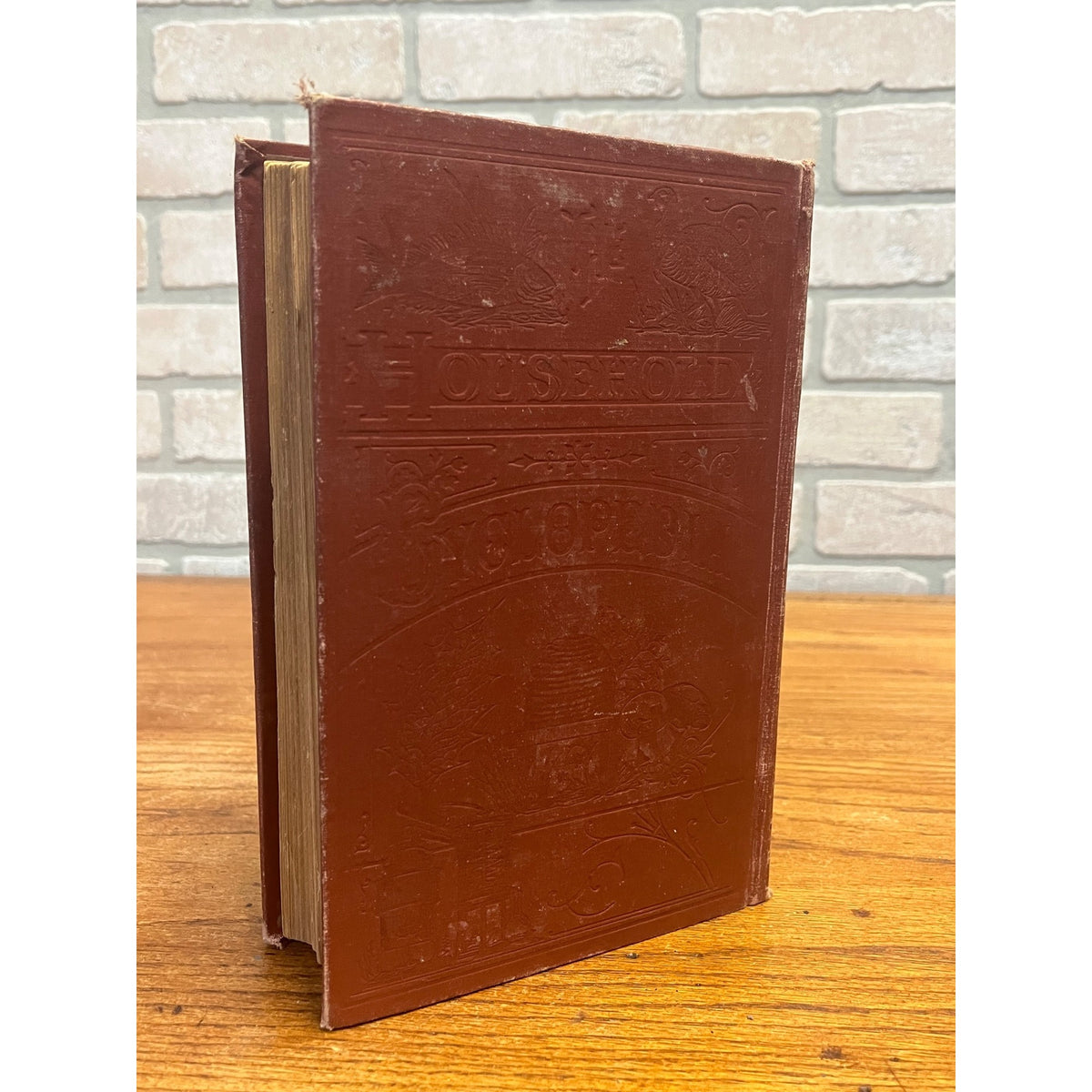 Antique The Household Cyclopedia USeful Knowledge Book 1880s Victorian Animals