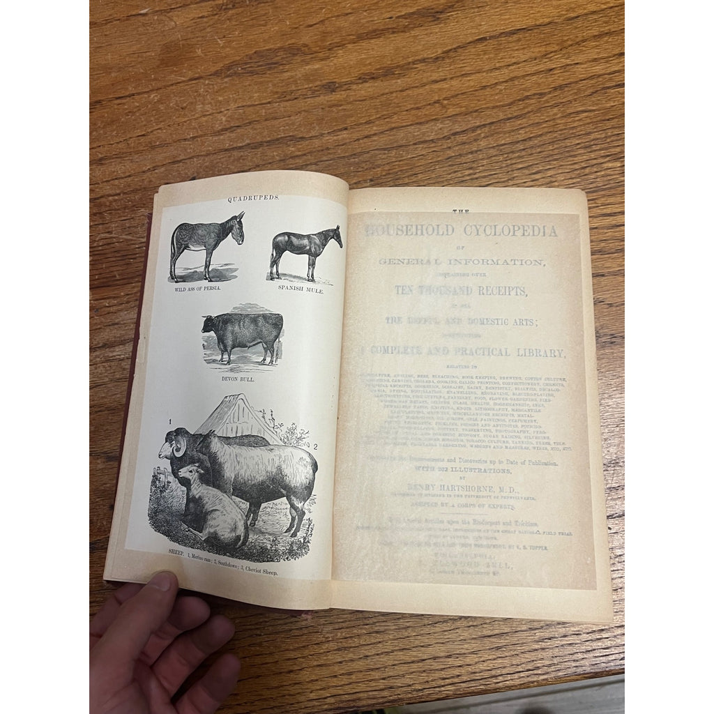 Antique The Household Cyclopedia USeful Knowledge Book 1880s Victorian Animals