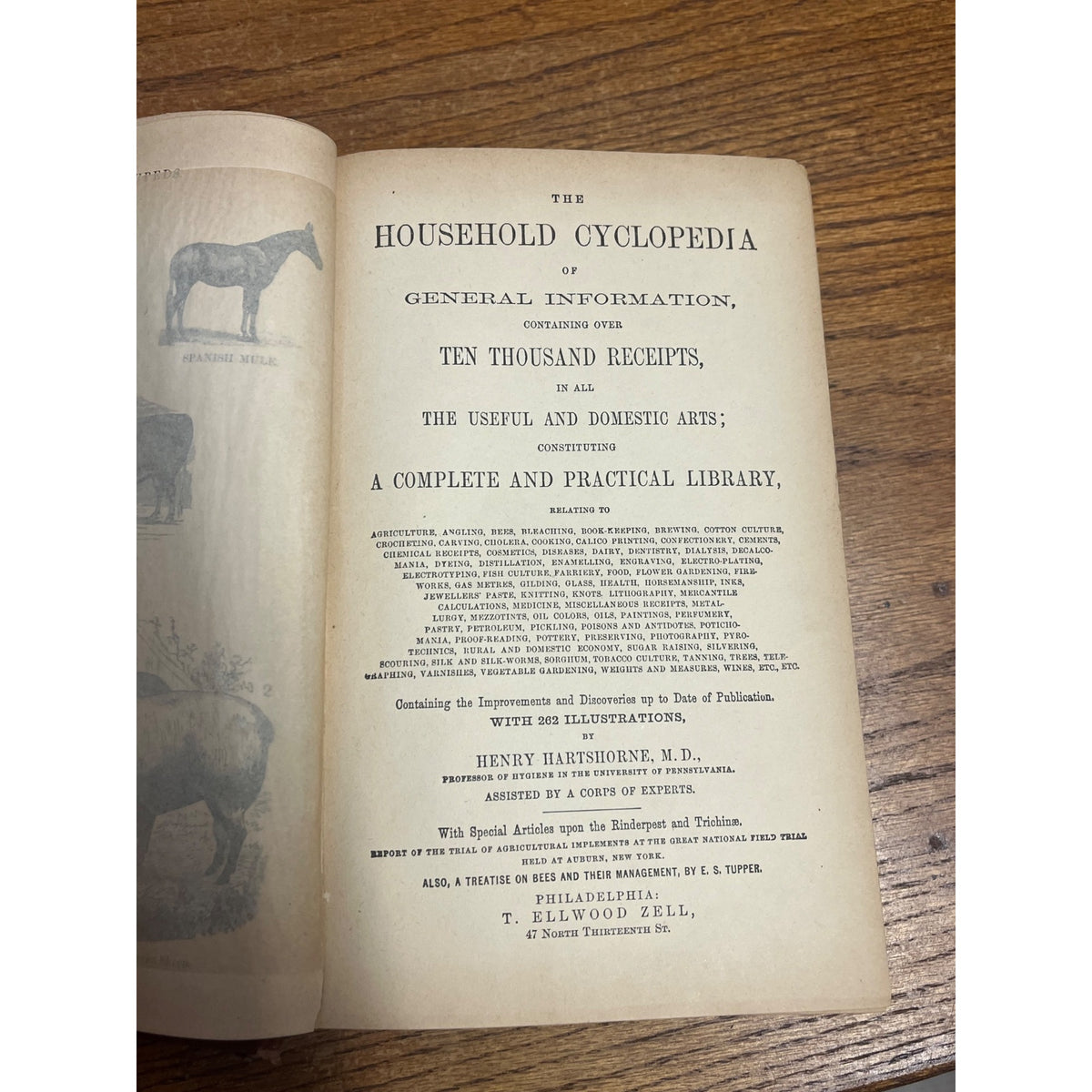 Antique The Household Cyclopedia USeful Knowledge Book 1880s Victorian Animals