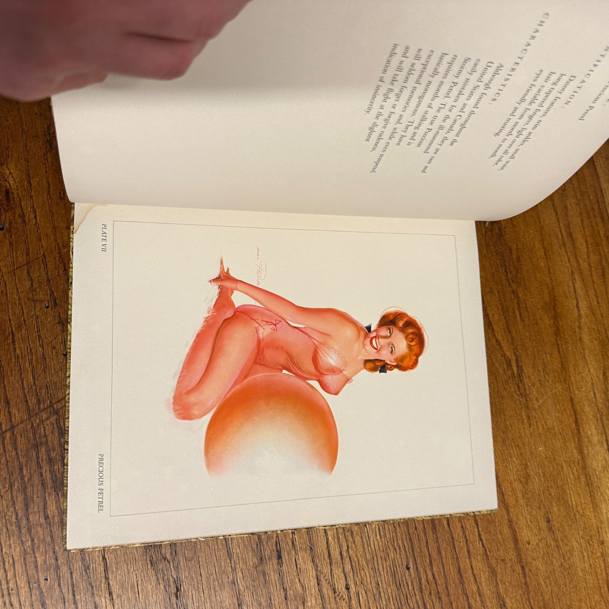 FUN HUNTING WITH MACPHERSON A GUIDE TO FINER FOWL BY HERM TEETOR 1954